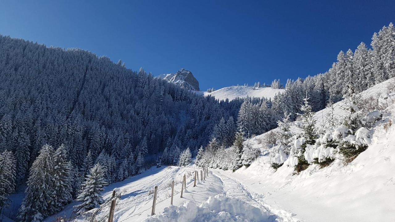 Charming Chalet With Panoramic View And Private Parking In Gruyere 그뤼예르 외부 사진