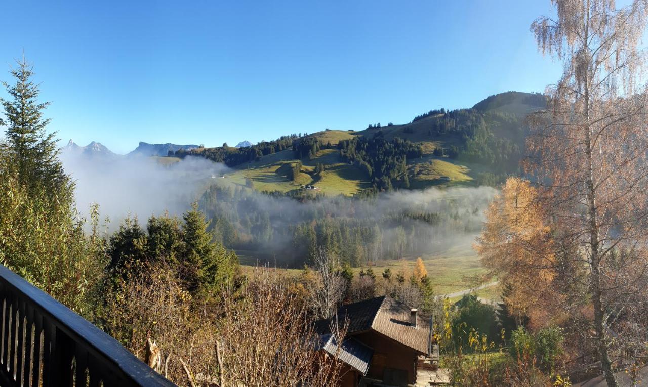 Charming Chalet With Panoramic View And Private Parking In Gruyere 그뤼예르 외부 사진
